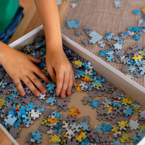 Puzzle-uri